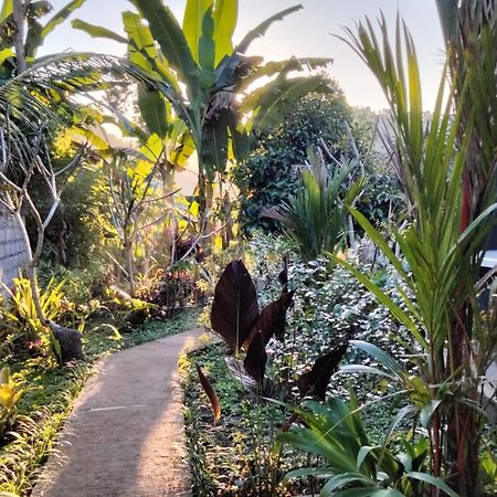 Buntera Homestay Sidemen サイドメン エクステリア 写真