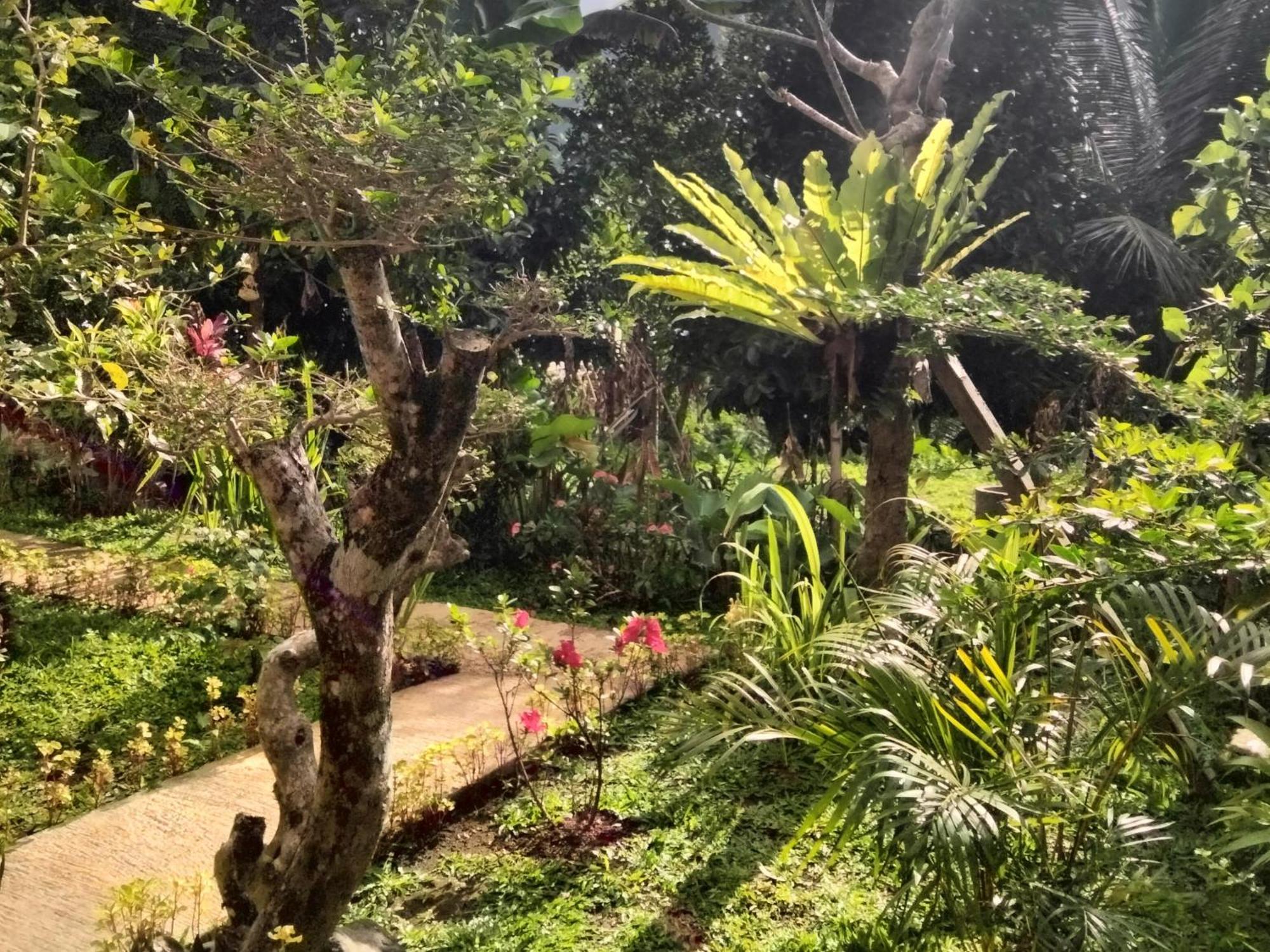 Buntera Homestay Sidemen サイドメン エクステリア 写真