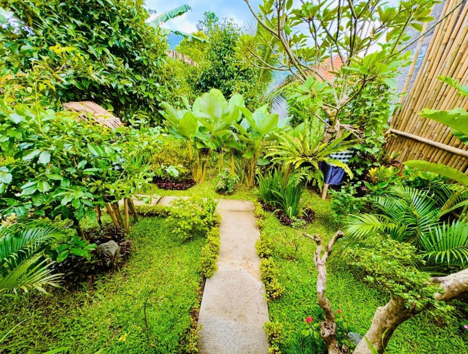 Buntera Homestay Sidemen サイドメン 部屋 写真